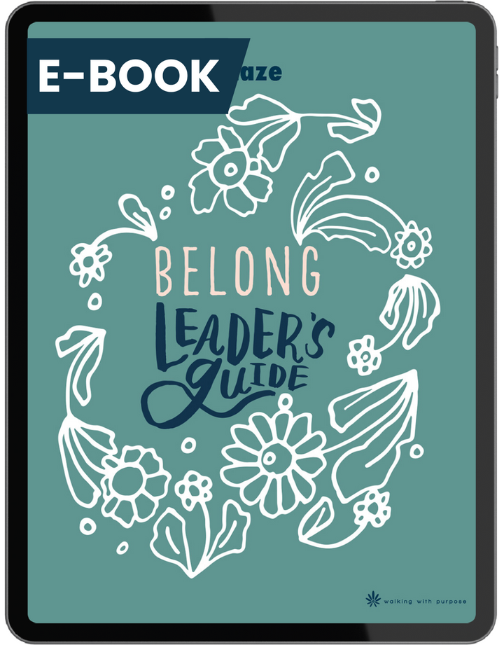 BLAZE Belong Leader's Guide in e-book cover