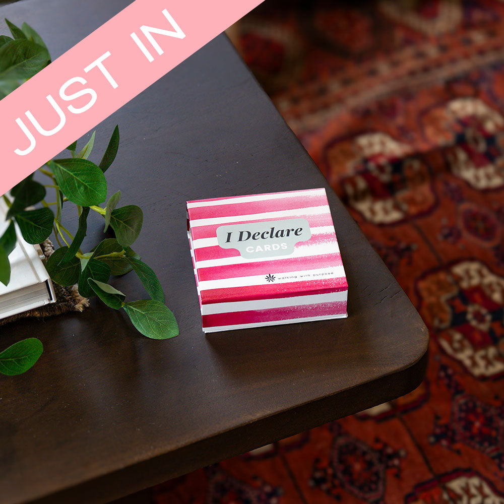 Striped card box labeled 'I Declare Cards' on a wooden surface with a plant and patterned rug in the background.
