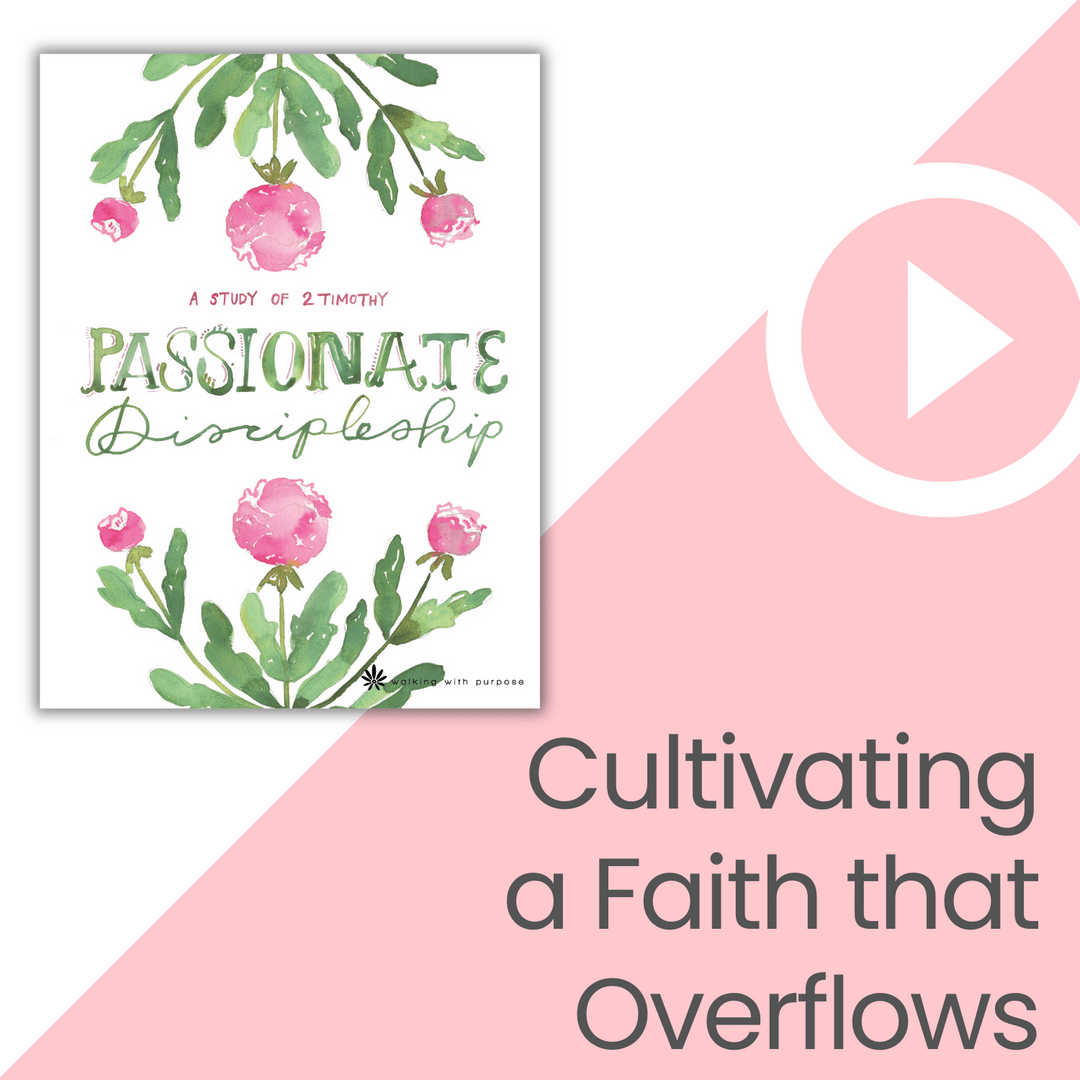 Passionate Discipleship Bible Study video talk 2
