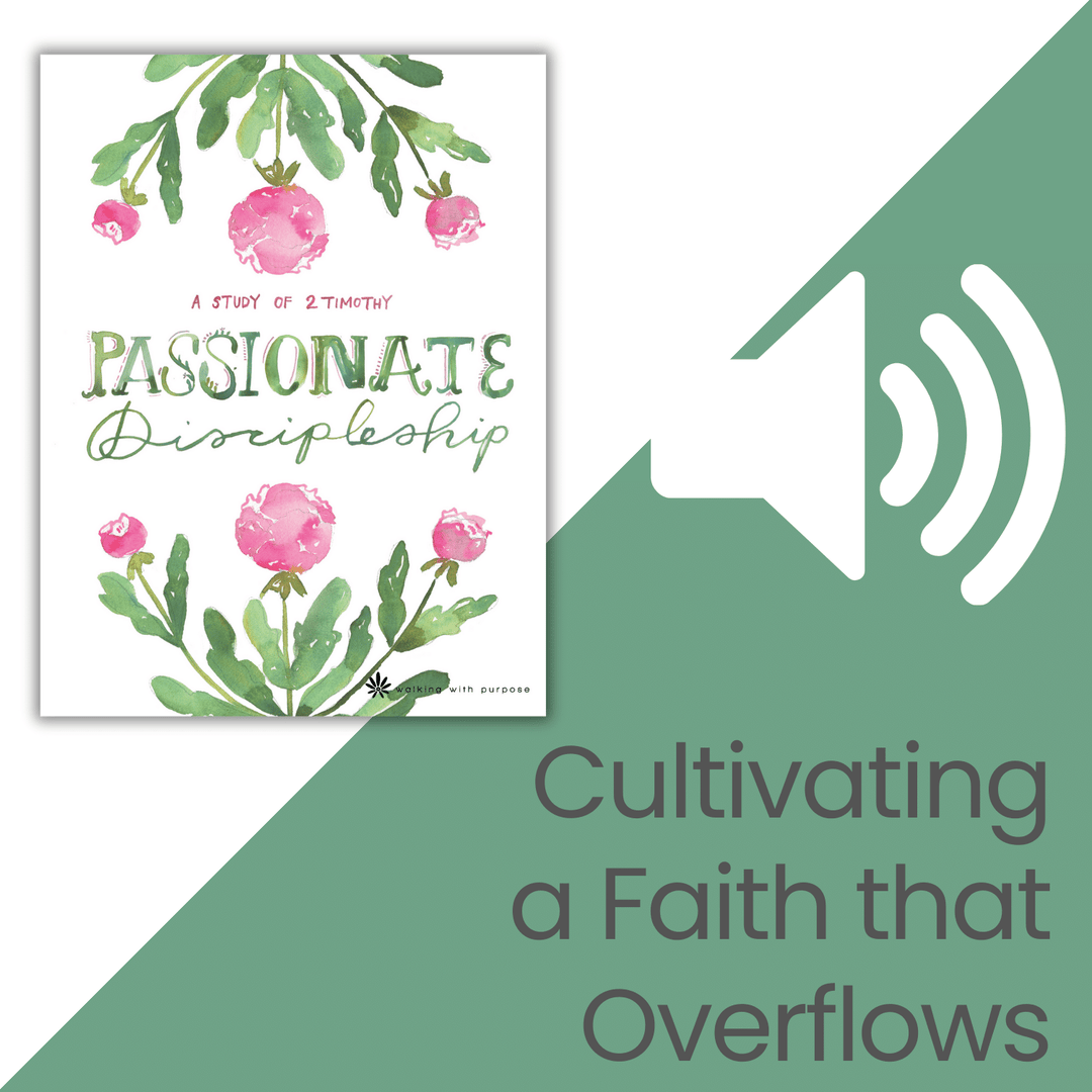 Passionate Discipleship Bible Study audio talk 2