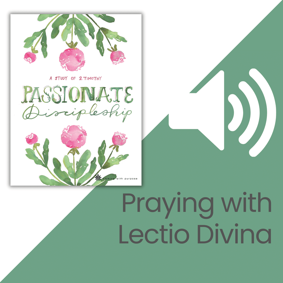 Passionate Discipleship Bible Study audio talk 7