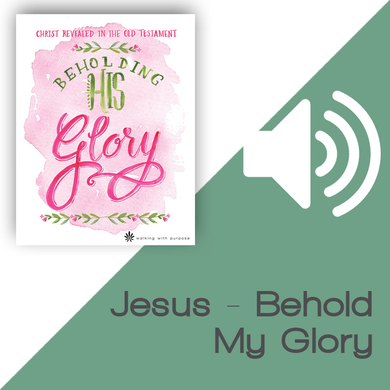 Beholding His Glory Audio Download Talk 3, Lesson 9 image