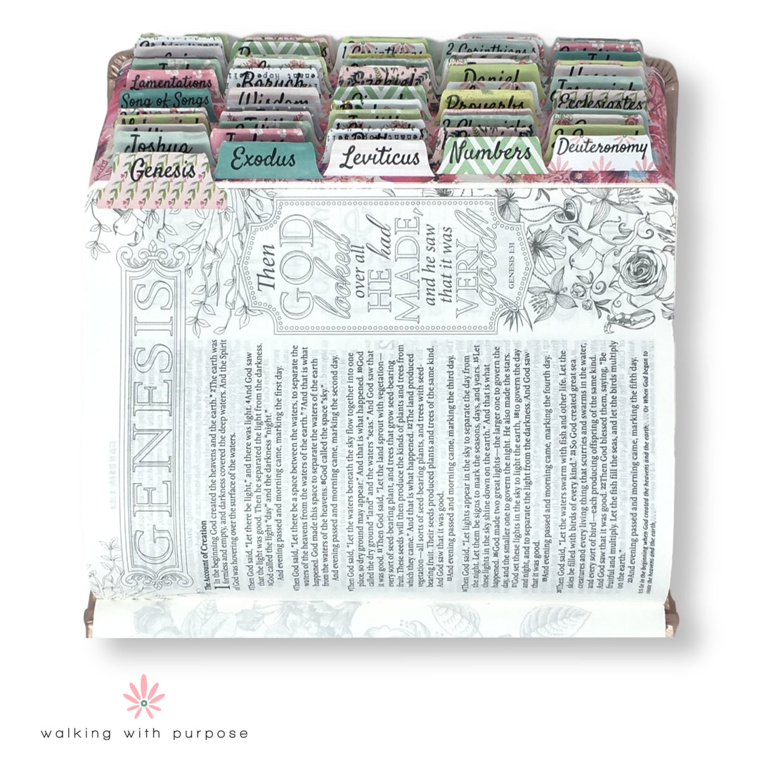 open Bible with WWP Themed Catholic Bible Tabs