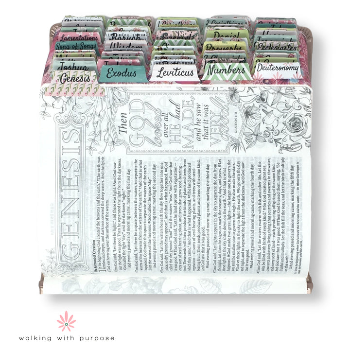 open Bible with WWP Themed Catholic Bible Tabs