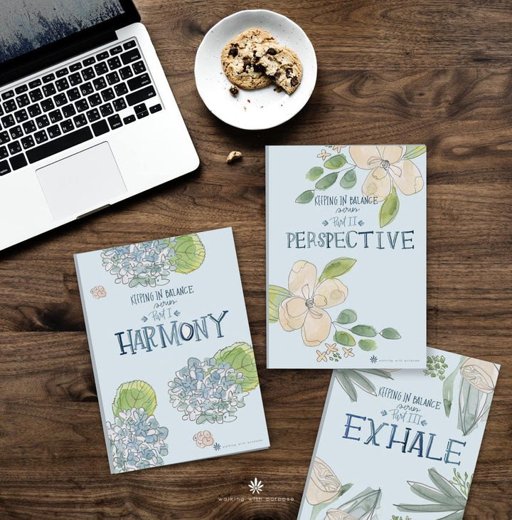 Keeping in Balance Young Adult Series Bundle on table