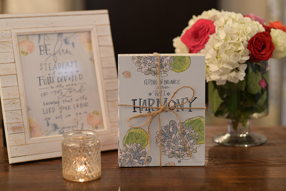 Keeping in Balance Young Adult Series Bundled with twine