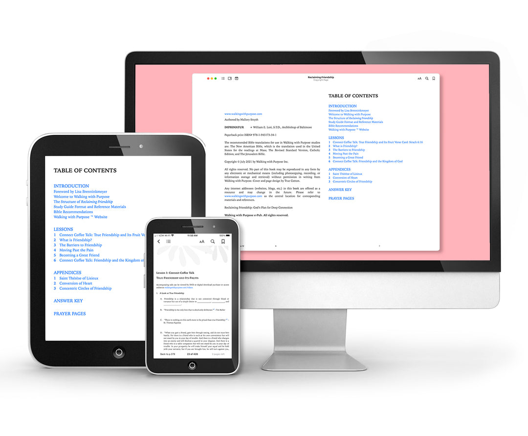 Reclaiming Friendship Bible Study e-Book on 3 e-readers