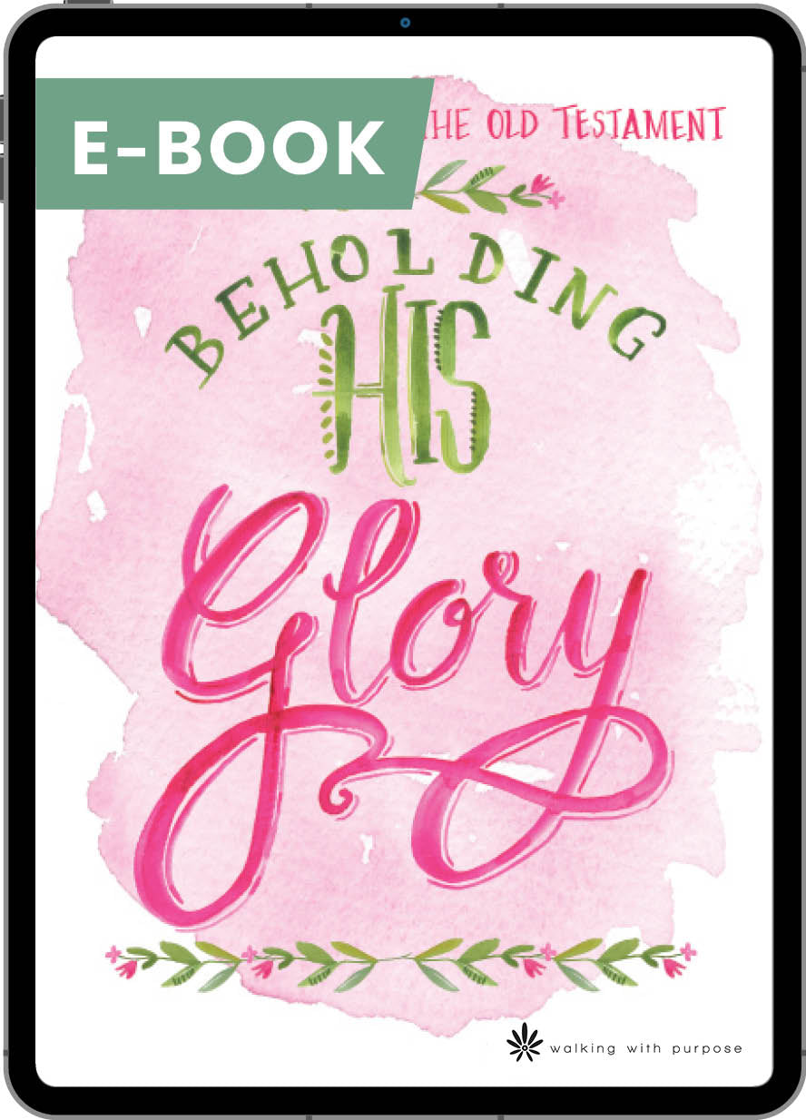 Beholding His Glory e-book cover image