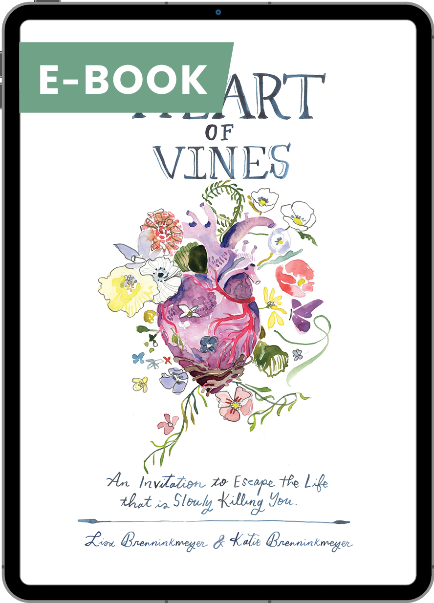 E-book cover titled &