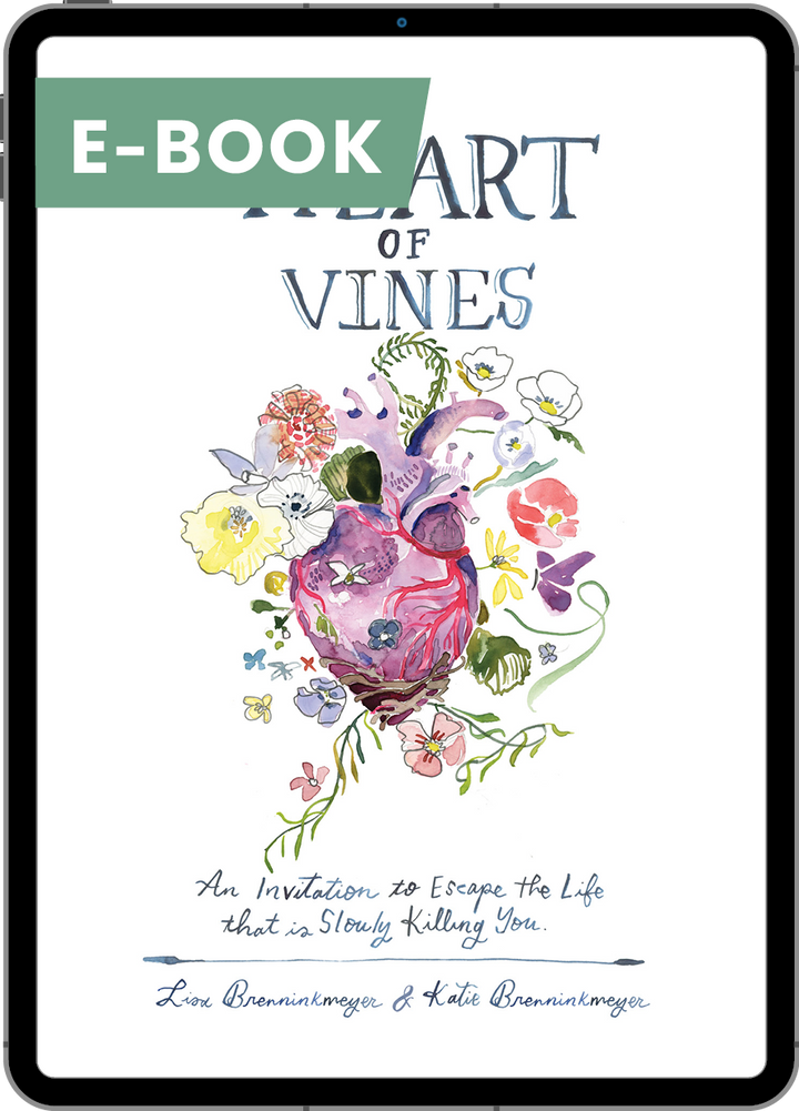 E-book cover titled &