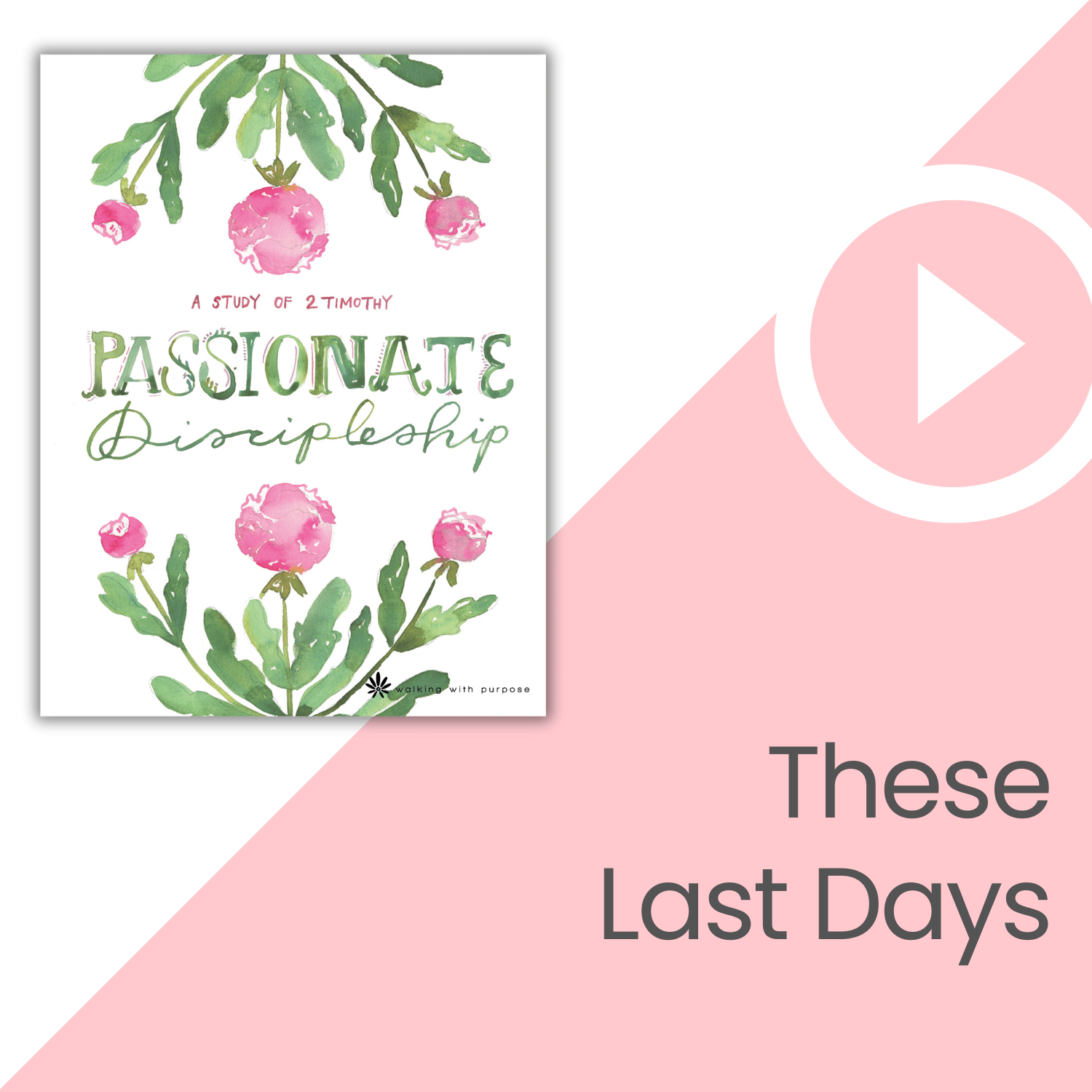 Passionate Discipleship Bible Study video talk 5