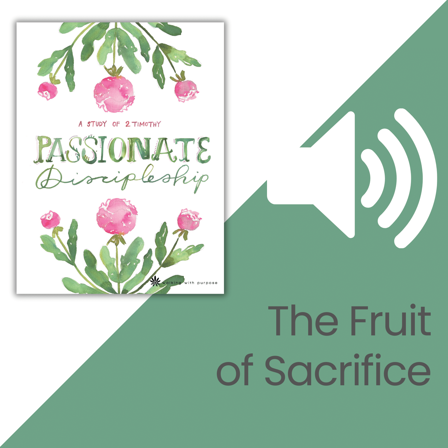 Passionate Discipleship Bible Study audio talk 8