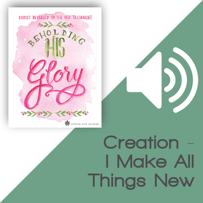 Beholding His Glory Audio Download Talk 1, Lesson 1 image