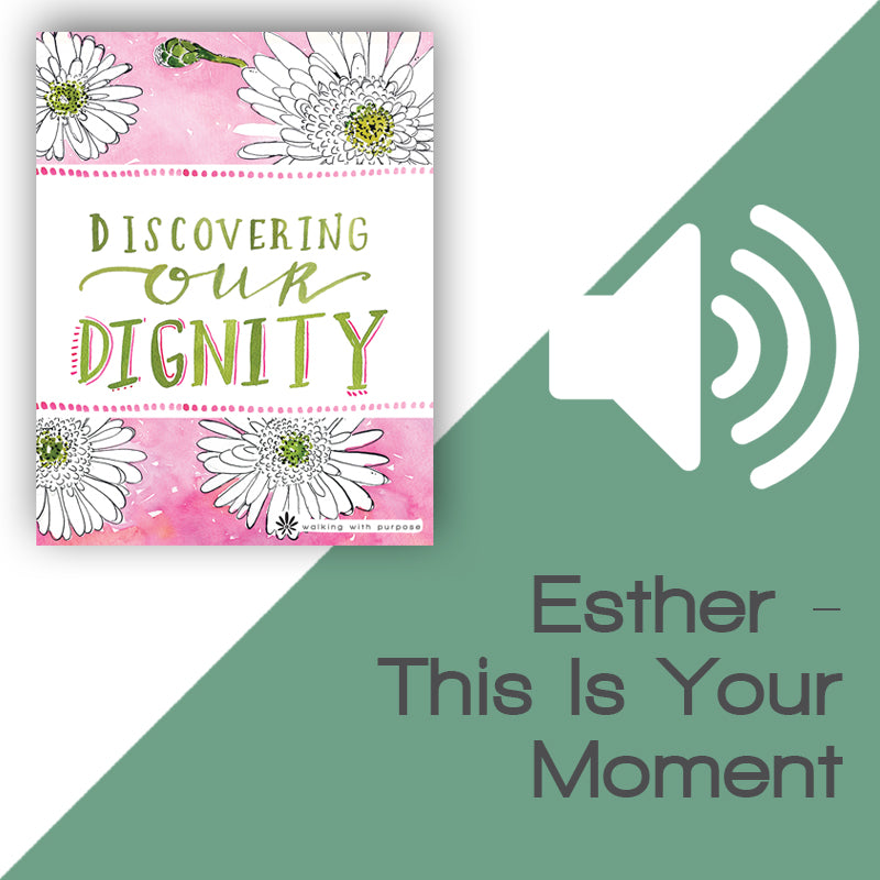 Discovering Our Dignity Audio Download Talk 4, Lesson 14 image