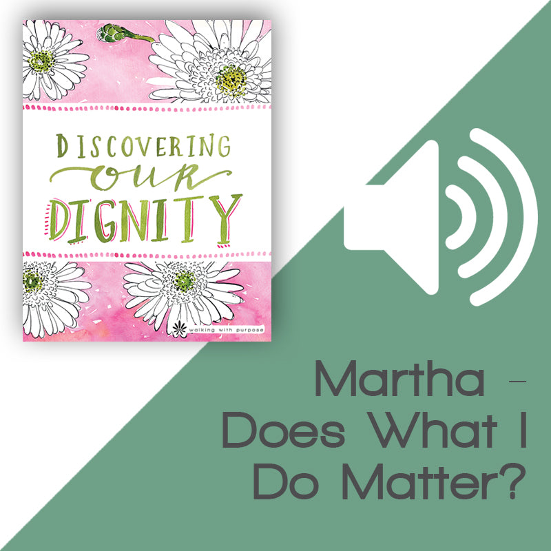 Discovering Our Dignity Audio Download Talk 5, Lesson 18 image