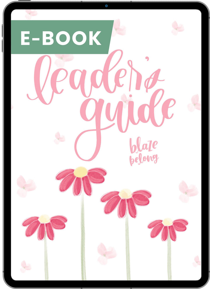 BLAZE Belong Leader's Guide digital e-book cover