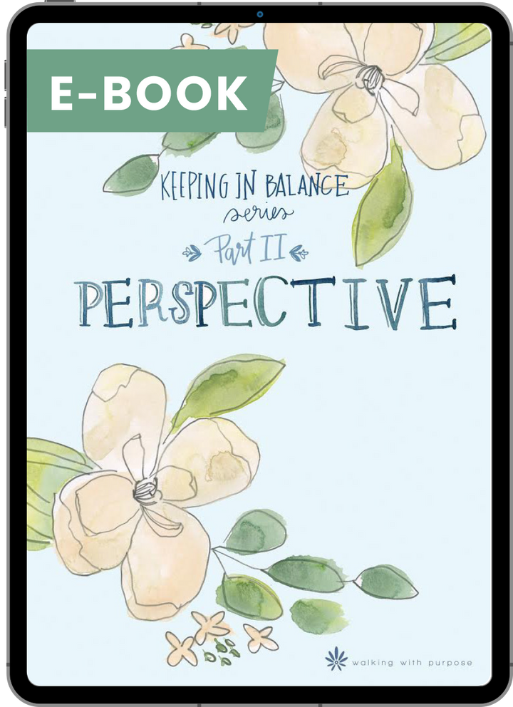 Perspective: Keeping In Balance Young Adult Series - Part II digital e-book cover