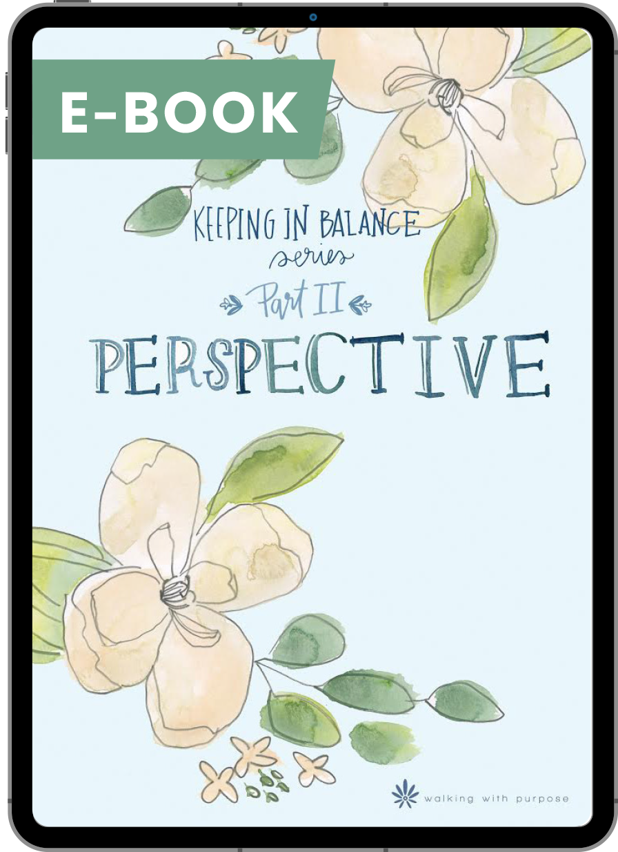 Perspective: Keeping In Balance Young Adult Series - Part II digital e-book cover