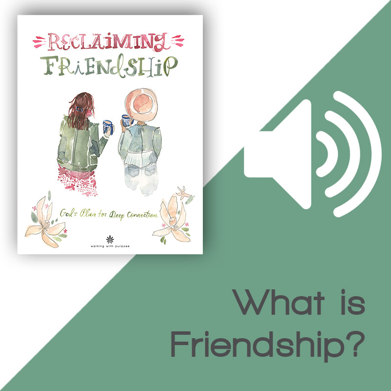 Reclaiming Friendship audio image Lesson 2 What is Frienship