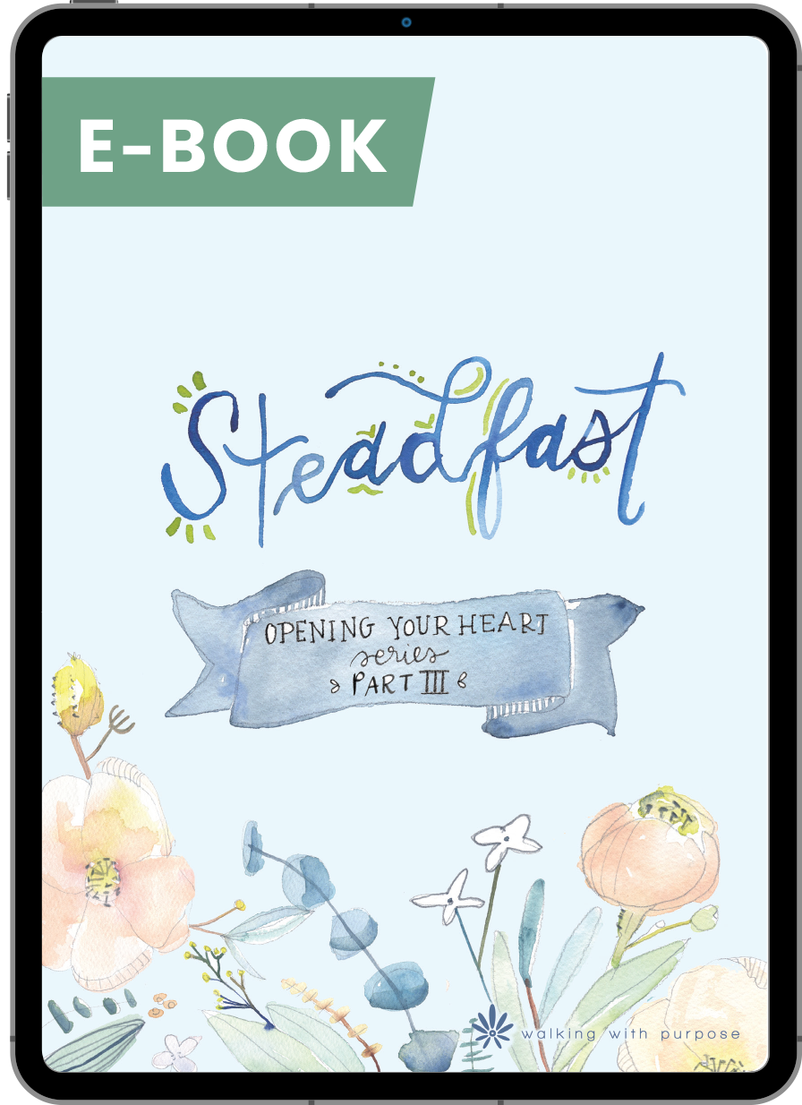 Steadfast - Opening Your Heart Young Adult Series - Part III digital e-book cover