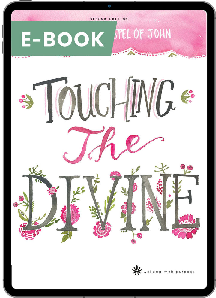 Touching the Divine Bible Study Second Edition Digital e-Book Cover  Edit alt text