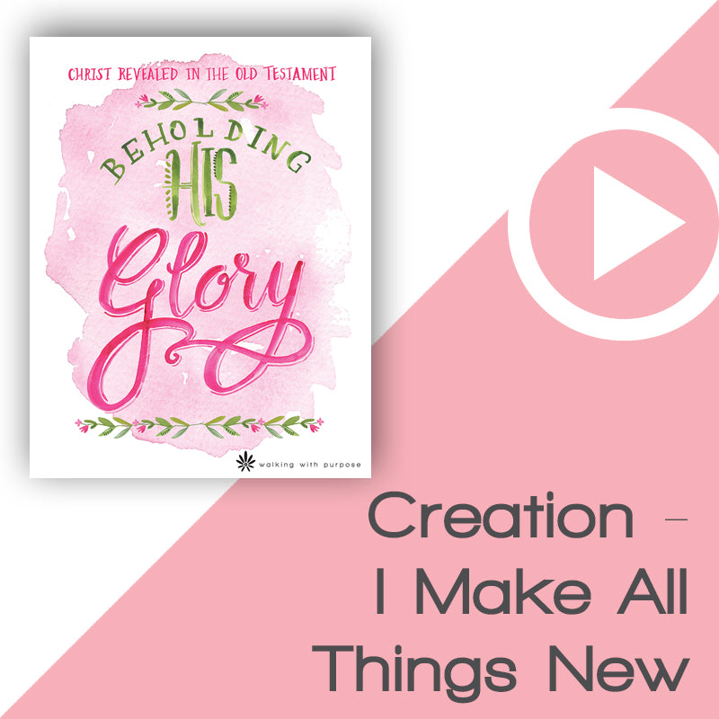 Beholding His Glory Video Download Talk 1, Lesson 1 image