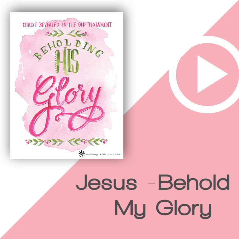 Beholding His Glory Video Download Talk 3, Lesson 9 image