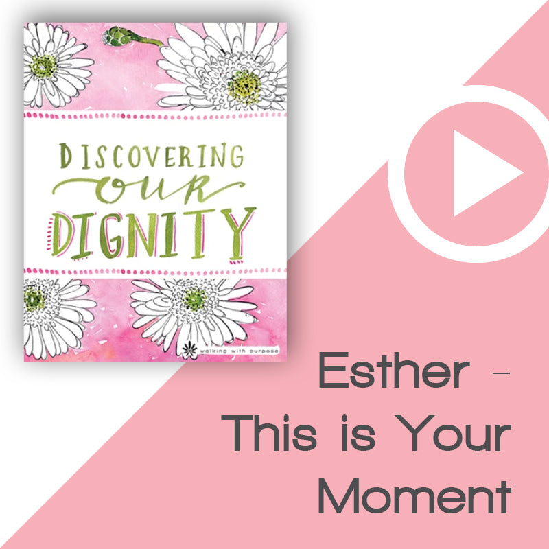 Discovering Our Dignity Video Download Talk 4, Lesson 14